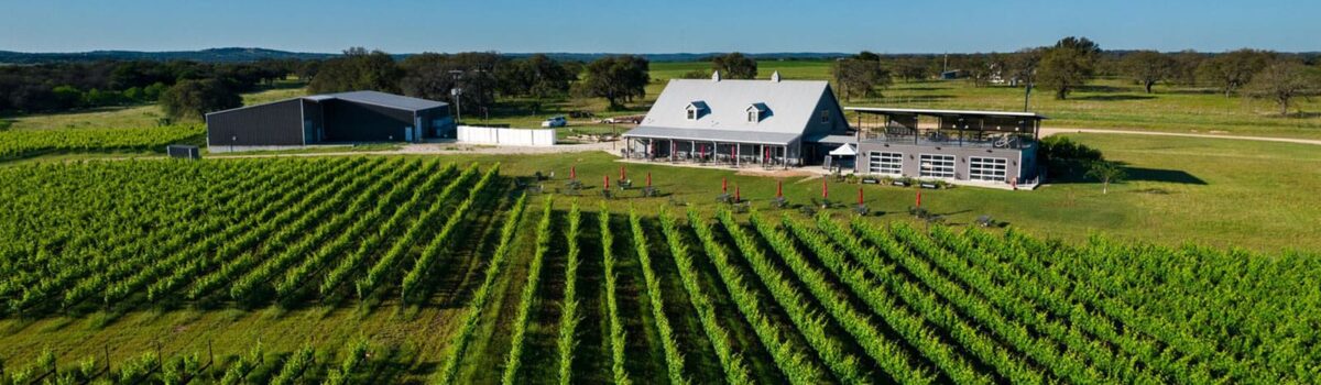 Fredericksburg’s Best Kept Secret Wineries: Hidden Gems to Discover